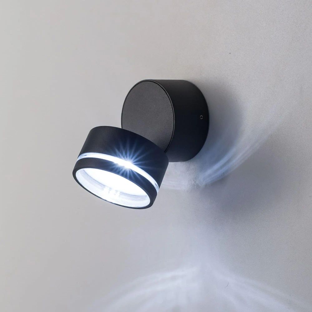 Citilux GARDA CLU0008R LED Уличный светильник поворотный Графит