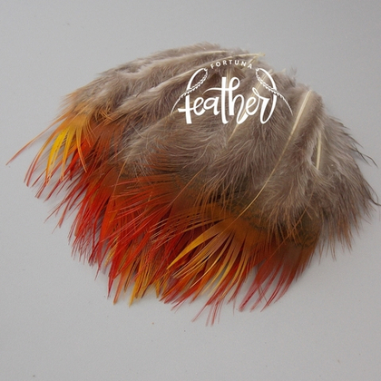 Перо фазана покровное натуральное Red Tips (20 шт)