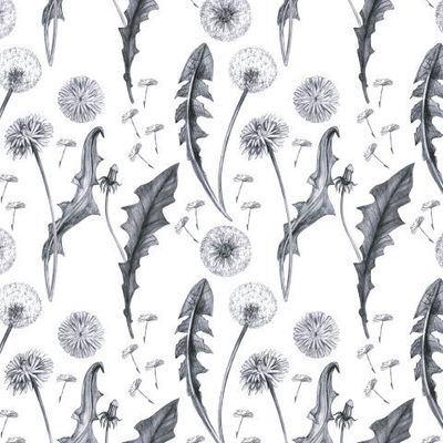 Одуванчики 1