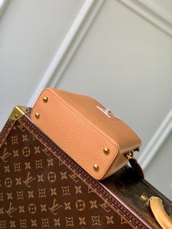 Louis Vuitton Capucines Mini