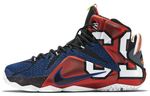 Кроссовки Nike Lebron 12 What The Lebron 12