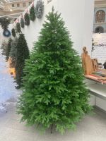 пышная ель "Лесная красавица"