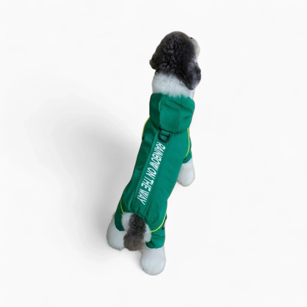 Дождевик «Rainbow»