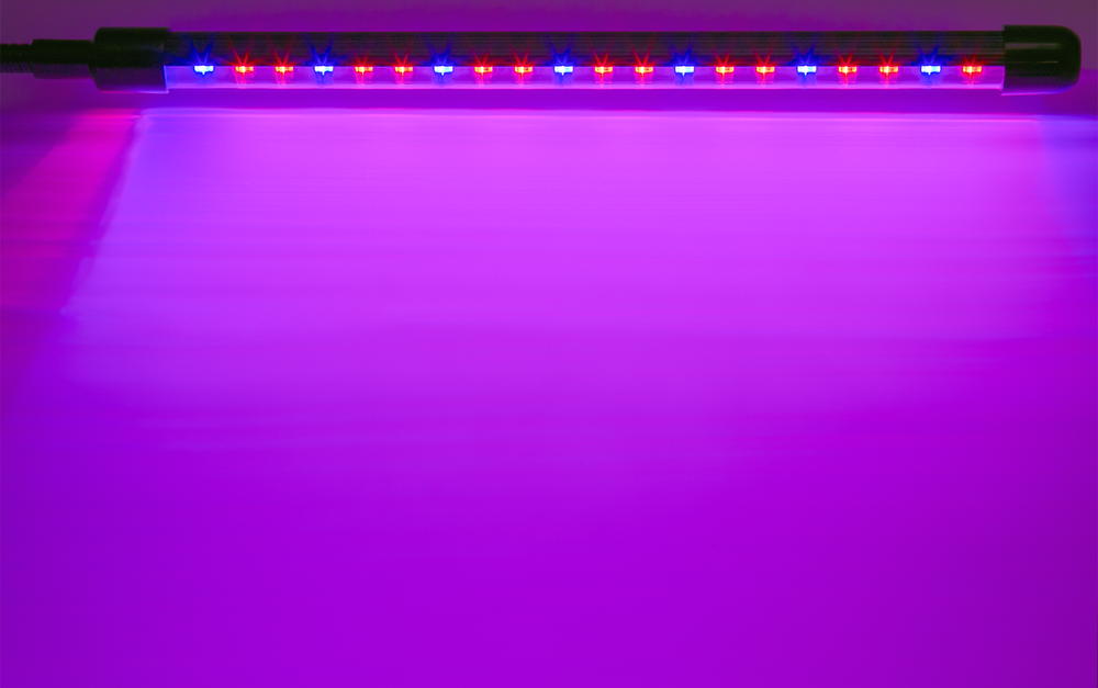 Светильник Navigator 95 585 NDF-FITO-C01-02-20W-BL