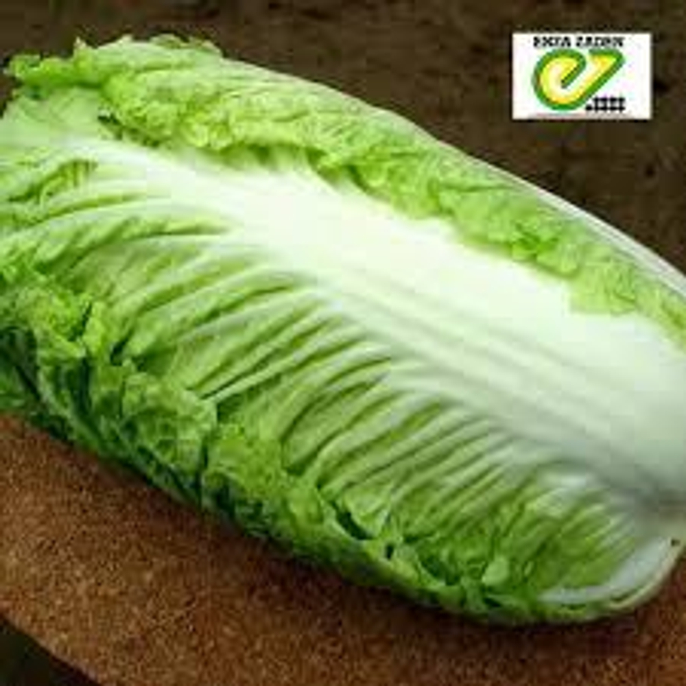 Капуста пекинская Предуро F1 (50шт)  Витагрин Профи