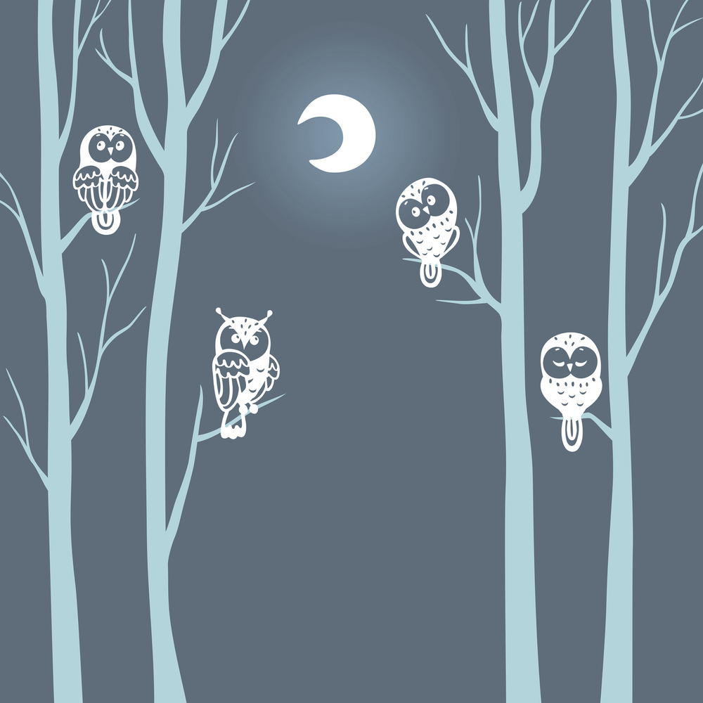 Коллекция BABY WORLD