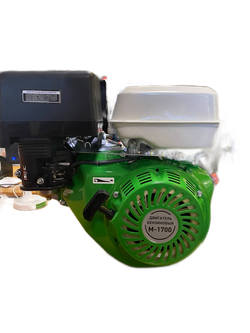Бензиновый двигатель ECO-M1700