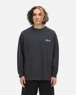 Лонгслив Anteater Phat Long 110 темно-серый