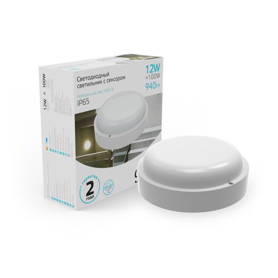 Потолочный светодиодный светильник Gauss Сауна 126411212