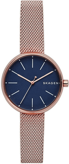 Женские часы Skagen SKW2593