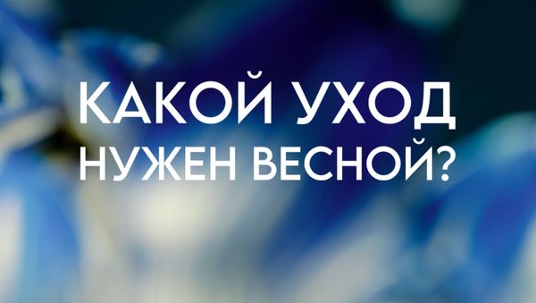 КАКОЙ УХОД НУЖЕН ВЕСНОЙ?