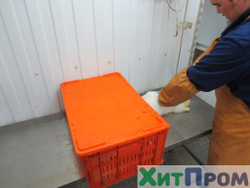 Комплекс убоя и переработки кроликов до 150 голов/час. Детское питание. Тульская область.