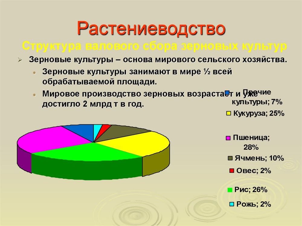 Карта Сельское хозяйство мира — купить по ФГОС | Учебный стандарт