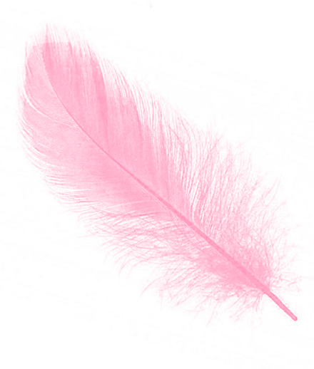 Перья Нежно-розовые