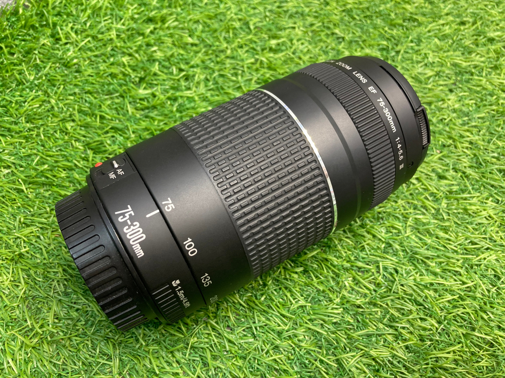 Canon EF 75-300mm 4-5.6 III