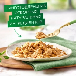 Гурмэ натуральные рецепты влажный кормдля кошек, лосось-гриль с зеленой фасолью 75 г