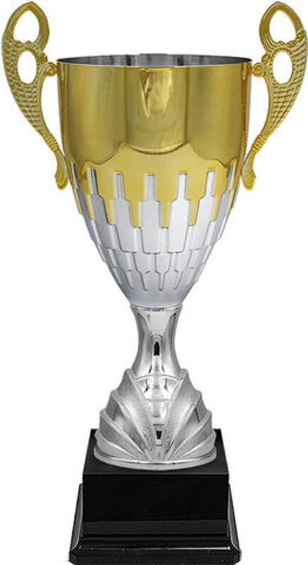 Кубок "Флинт"