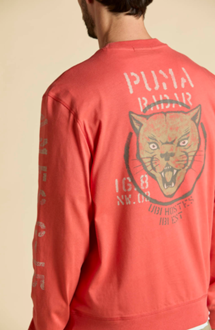 Свитшот хлопковый