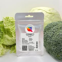 СТОРИДОР F1 семена капусты белокочанной (Syngenta | Alexagro)