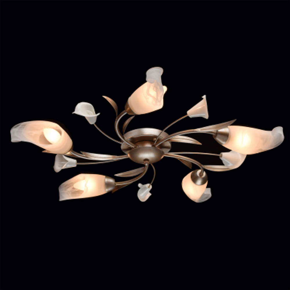 Люстра MW-Light 242016205 5/60w e14