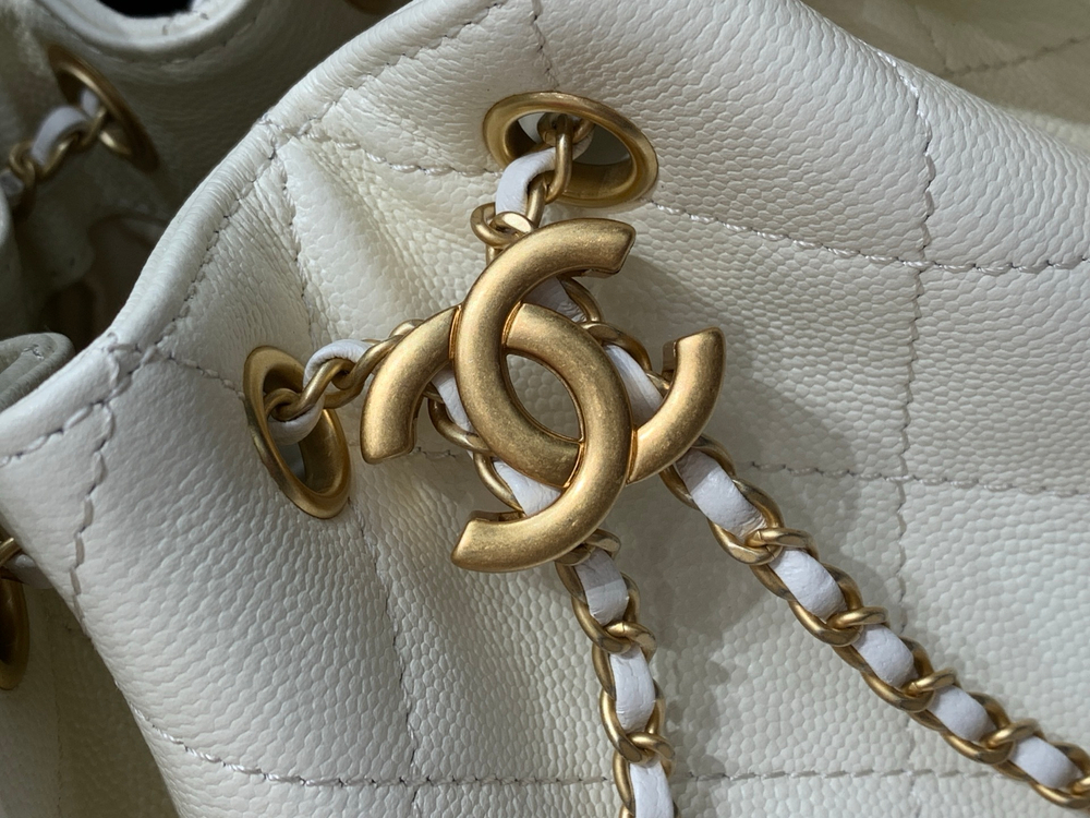 Chanel 25 Mini Handbag 22 cm