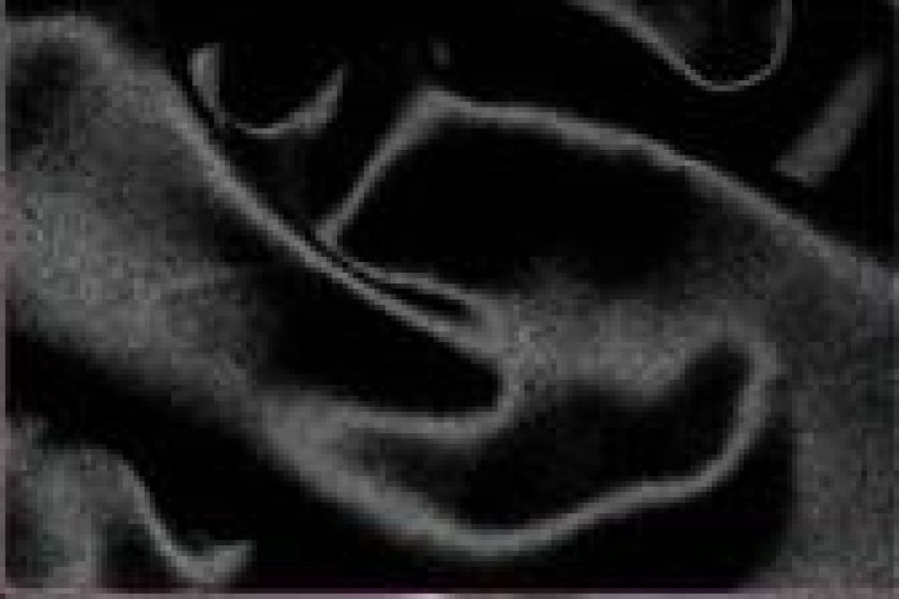 Халат Avаls 8706 (50-52) 210 черный