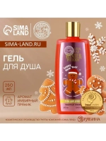 Гель для душа, 250 мл, аромат имбирного пряника, URAL LAB