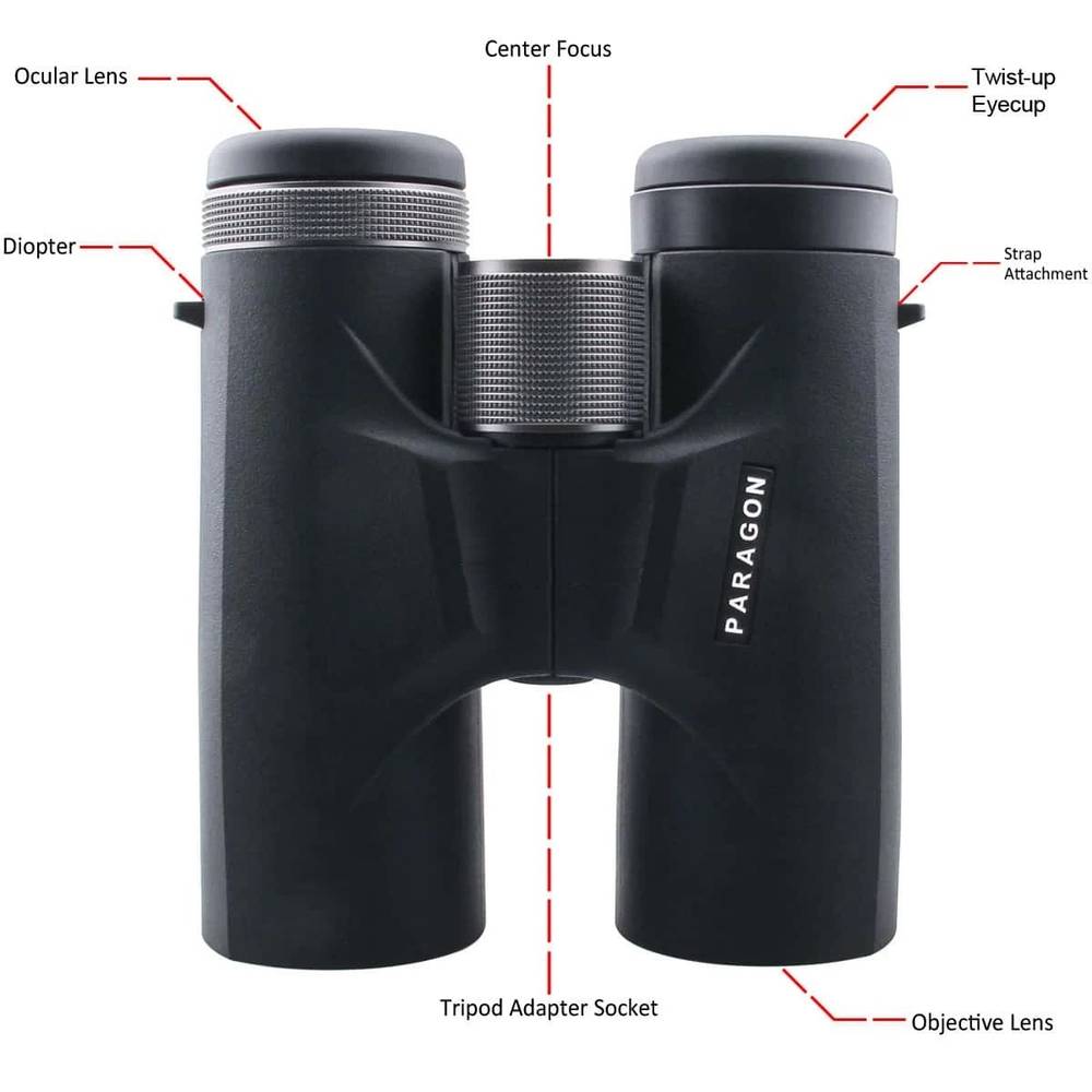 Бинокль Vector Optics Paragon 10x42 Roof-призма, BAK4, IPX6 (SCBO-04)