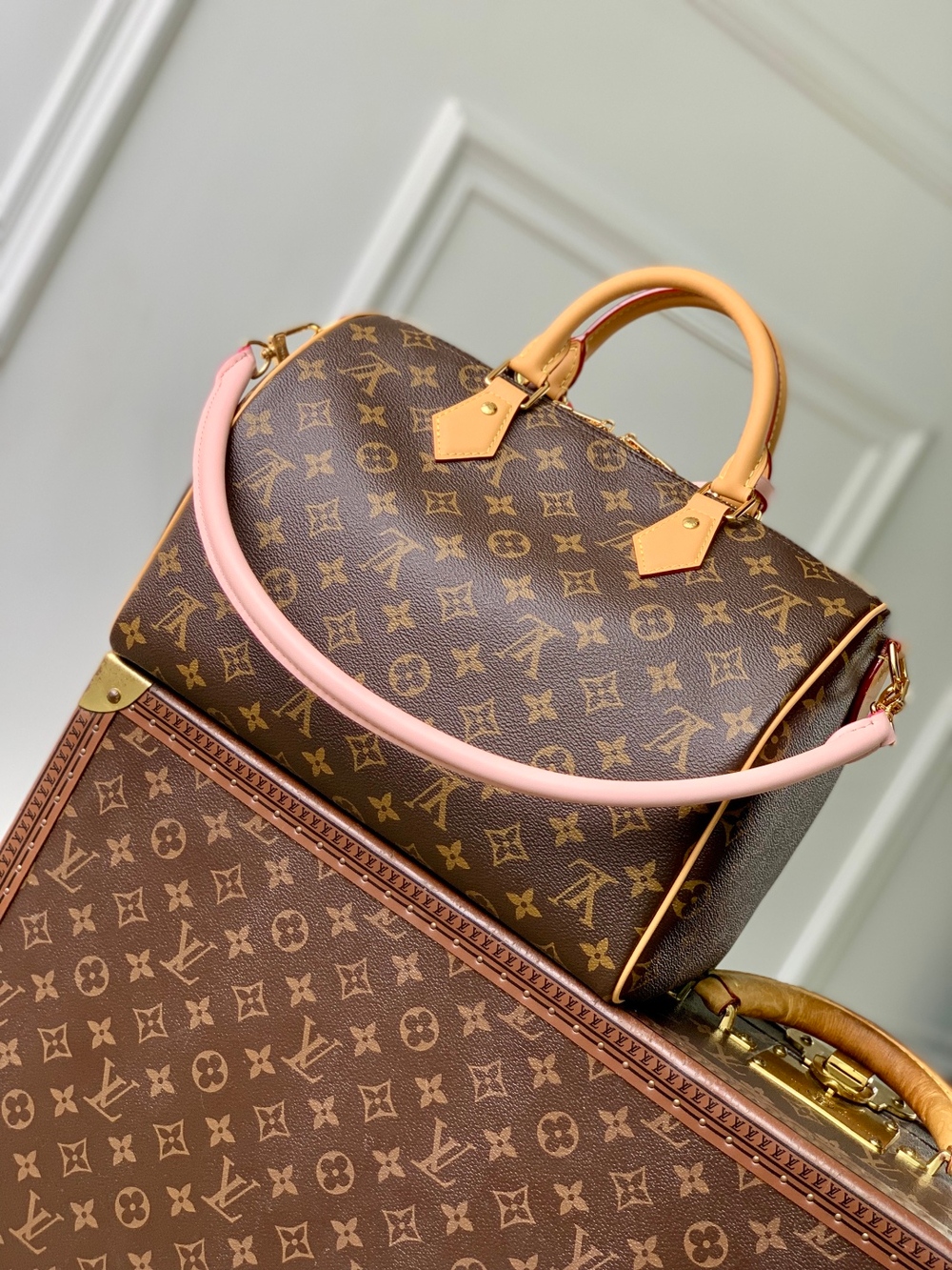 Louis Vuitton Speedy Soft 30