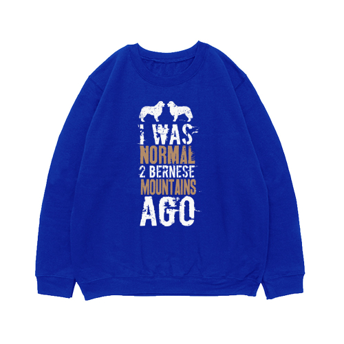 Свитшот "Был нормальным 2 Берна назад"