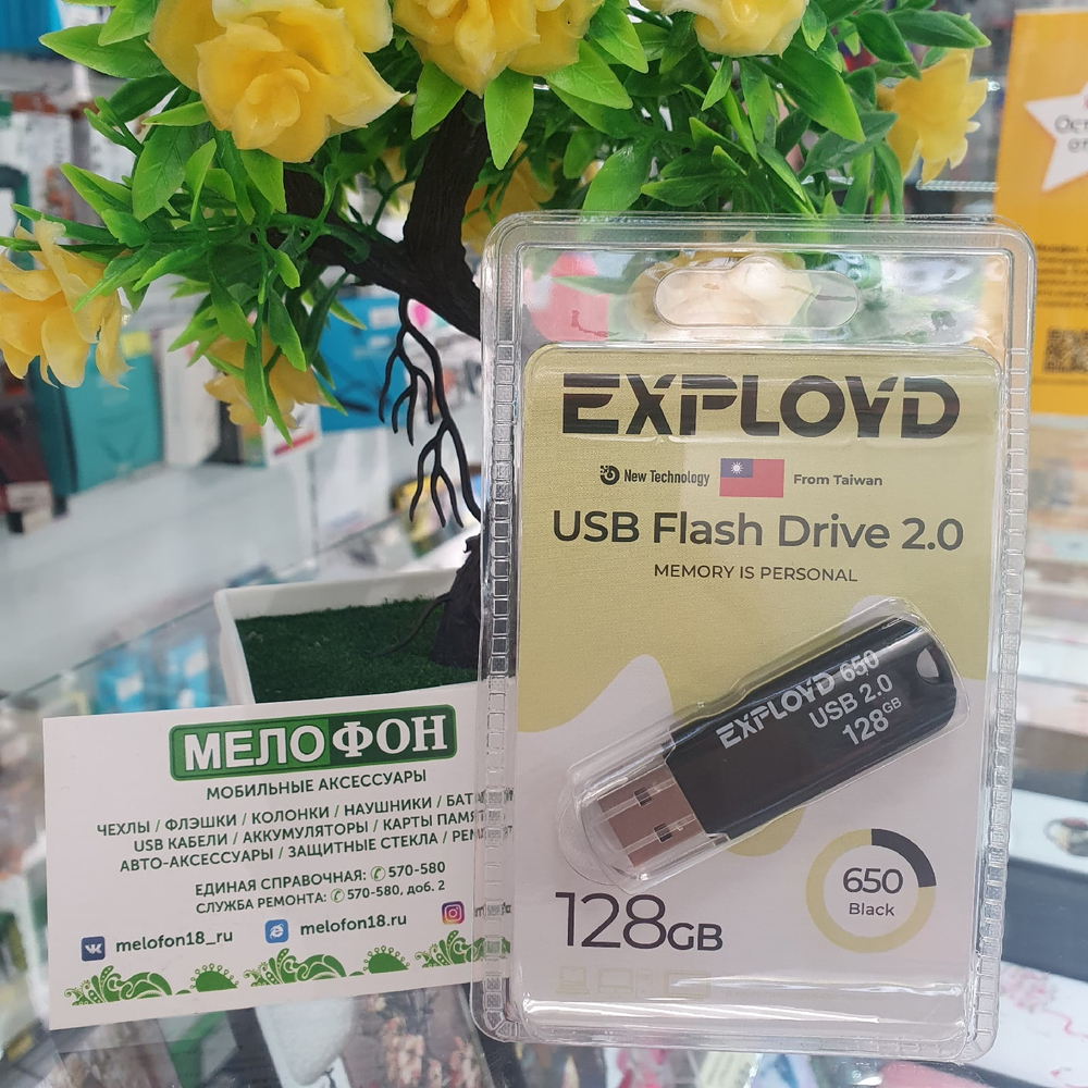 USB Флешка 128GB Exployd 650, USB 2.0, черная