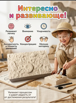 Раскопки динозавра Трицератопса