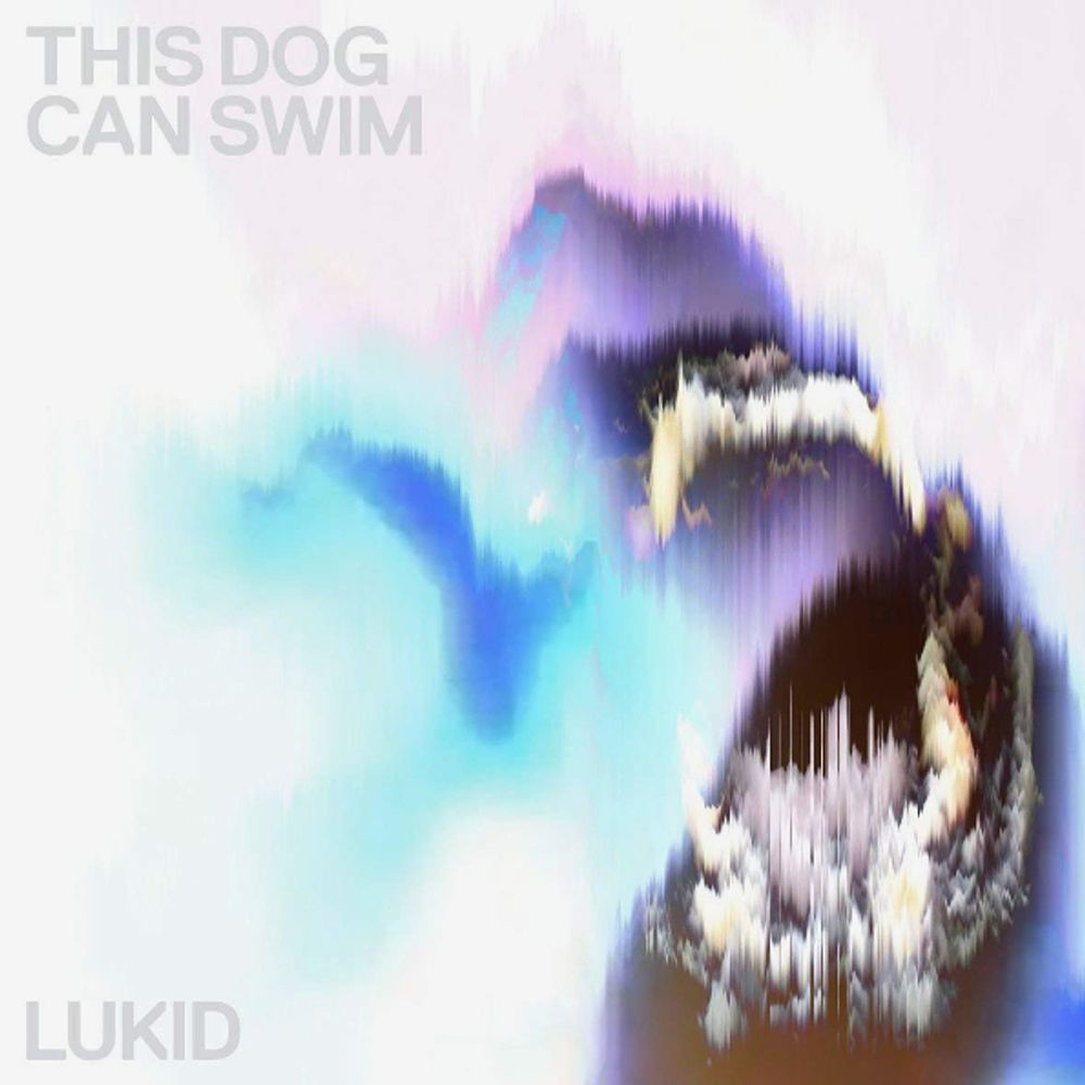 Lukid / This Dog Can Swim (12&quot; Vinyl Single)