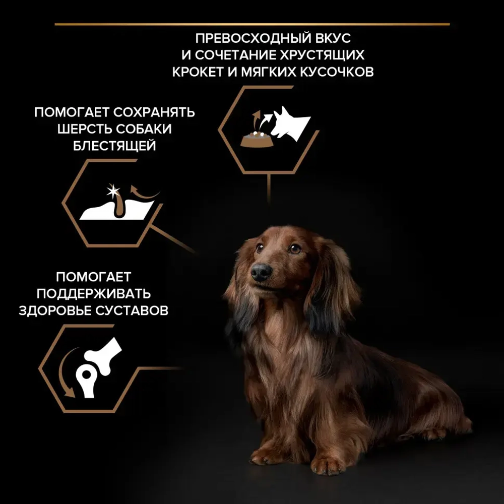 Pro plan duo delice small mini сухой корм для взрослых собак мелких и карликовых пород с говядиной - 700 г