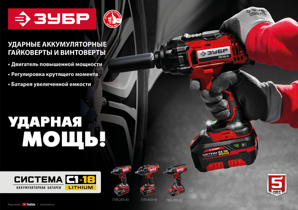 ЗУБР С1-18, 18 В, 250 Н·м, 2 АКБ (2 А·ч), винтоверт ударный, кейс (ГВЛ-255-22)