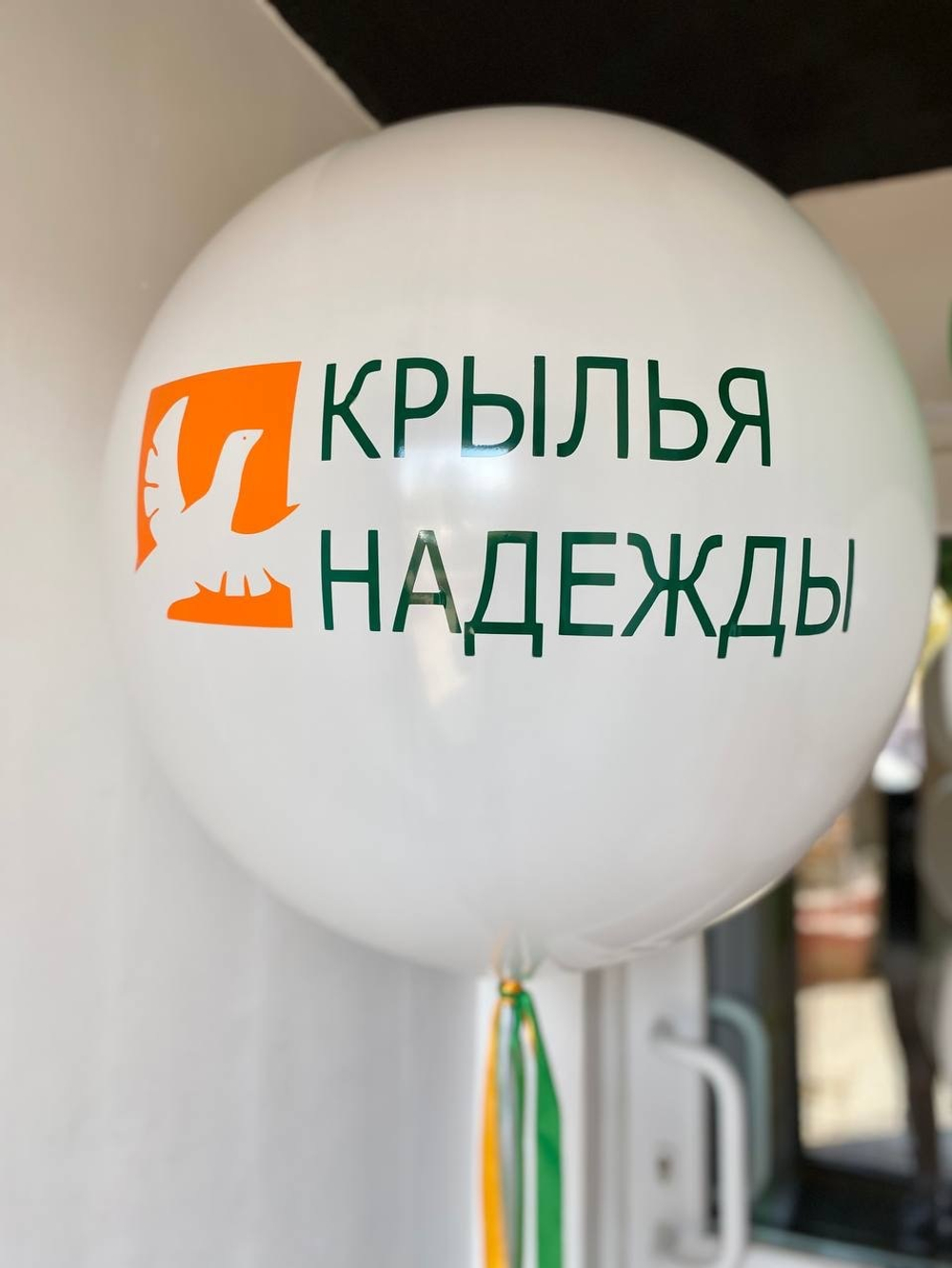 Воздушные шары с логотипом компании №1423