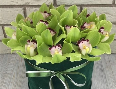 Аквабокс с орхидеями