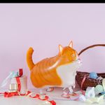 Шар (24"/61 см) Ходячая Фигура, Кот 1 шт.