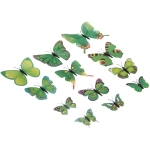 Набор для декора «Волшебные бабочки» 12 шт, Зеленый