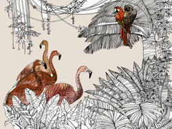 Коллекция ZOO