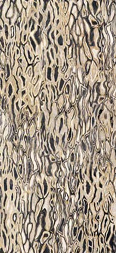 Декор The Room Ghepard6 260Lp