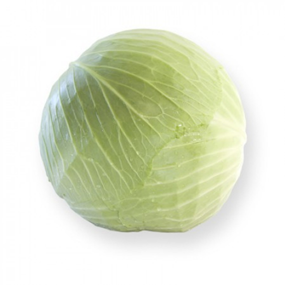 Джинтама F1 семена капусты белокочанной (Rijk Zwaan / Райк Цваан) плод – фото 3