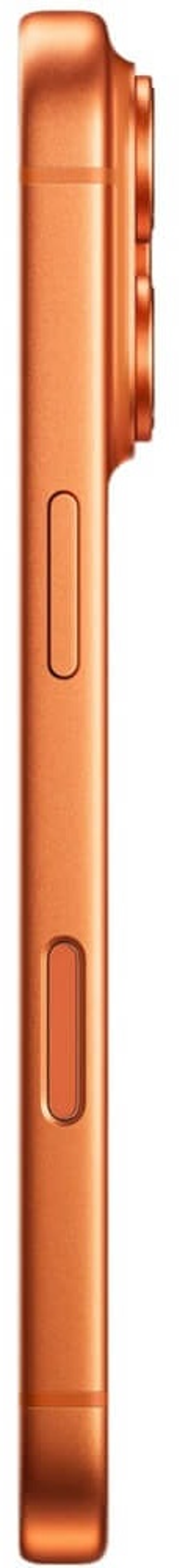 Смартфон Apple iPhone 17 Pro 256Gb оранжевый