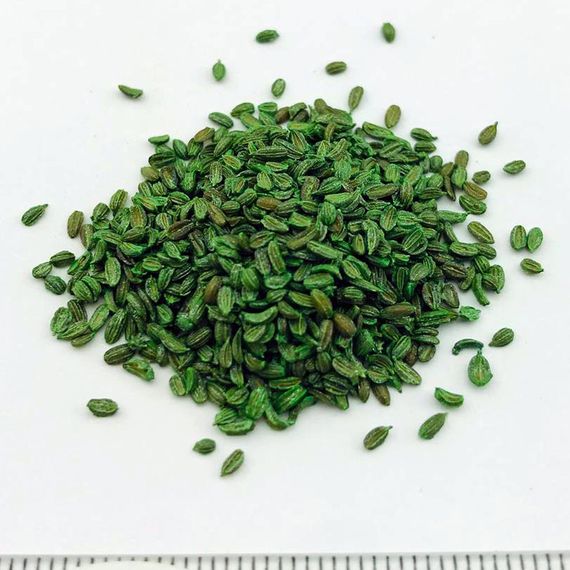 НАЙРОБИ F1 семена моркови Bejo отзывы