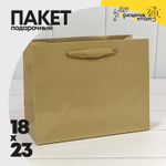 Пакет подарочный 23х18х10см Премиум "Элегант" (Золотой)