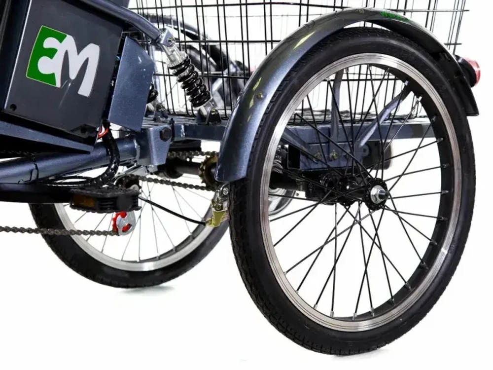 Трехколесный электровелосипед E-motions KANGOO-RU 750