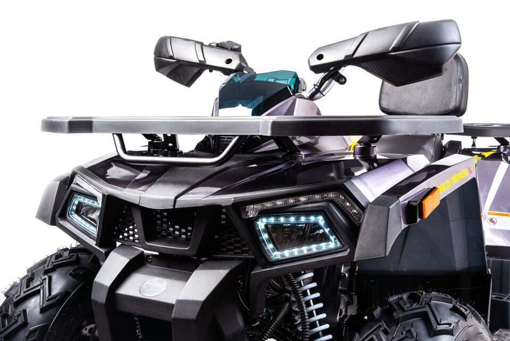 Квадроцикл MOTOLAND 200 Wild Track X Pro (2022)