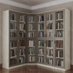 Книжный угловой №9 (мадес)