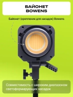 Осветитель светодиодный Raylab RL-100LED 2700-6500K с пультом