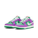 Nike Dunk Low Skate shoes